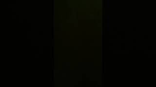 IMG 1113