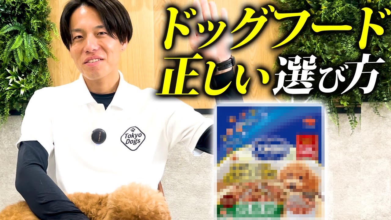 【完全版】ドッグフードの正しい選び方をフード士が徹底解説【有料級】