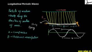 Information Longitudinal Periodic Waves | Swap Education Update