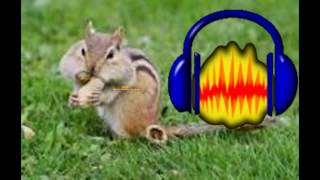 Audacity : How to Sing Like a Chipmunk screenshot 2