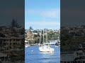 Sydney harbourshorts