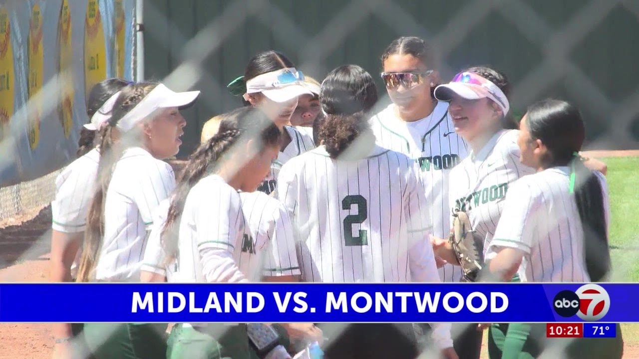 high-school-softball-playoffs-bidistrict-round-scores-highlights