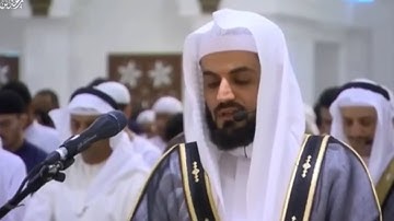 تلاوة رمضانية آسرة تخشع لها القلوب للشيخ رعد الكردي 🤍 (ليالي #رمضان ١٤٤٦ هـ)