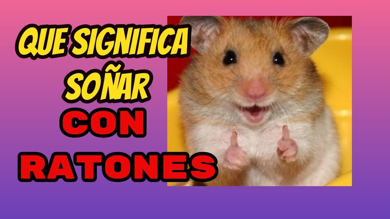  que significa so ar con ratones conoce el significado de tus sue os