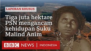 The fate of the Malind Anim, a large tribe in Merauke, Papua, which is 'surrounded' by the govern...