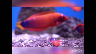 Take a look under the water