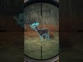 My third GREAT ONE Whitetail Deer| The Hunter COTW #gaming #deer #gameplay