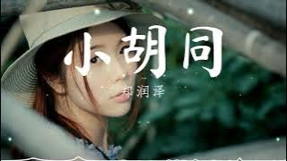 小胡同 - 郑润泽 『可我就是痛 就算是在梦中。』【動態歌詞/Pinyin Lyrics】
