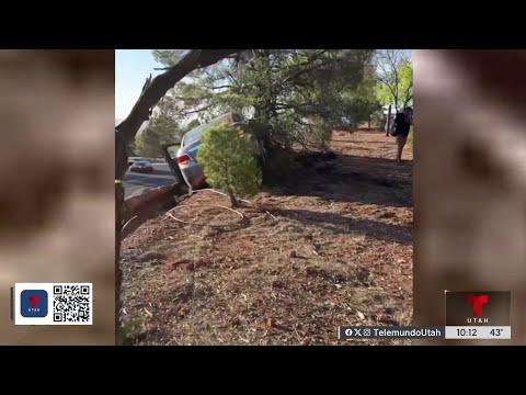 St. George: Conductor presuntamente intoxicado se sale de la carretera