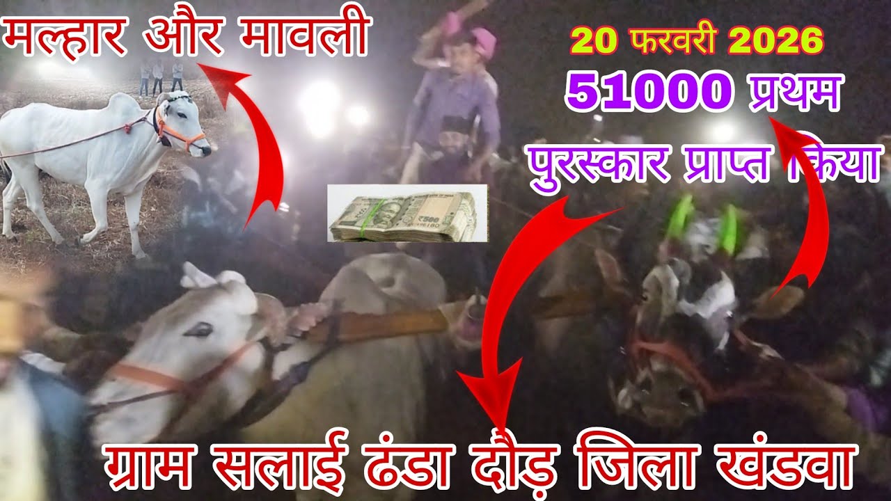 मल्हार और मावली प्रथम पुरस्कार प्राप्त51000 किया ग्राम सलाई ढंडा दौड़ जिला खंडवा