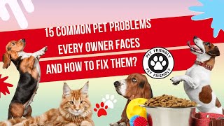 15 Common Pet Problems Every Owner Faces And How To Fix Them