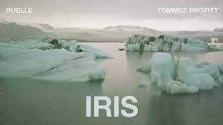 IRIS (Cinematic Cover) - Tommee Profitt & Ruelle