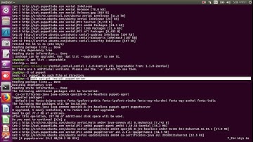 Puppet Install & Configure on Ubuntu 16 04 LTS
