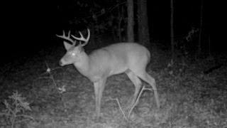 Trail Camera Video MOULTRIE Game Cam 4/4