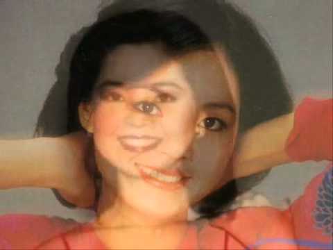 你怎麼說 司馬亮