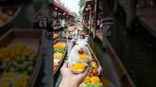 Rabbit Eating Mango Stiky Rice In Thailand