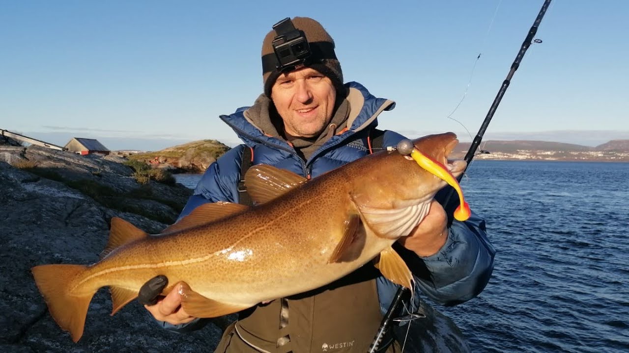 Shore fishing norway shad fishing with the new Akios ironstik YouTube