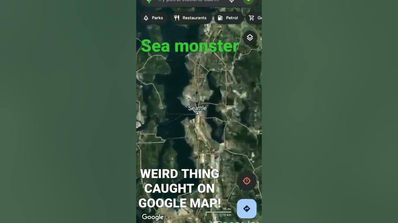 Something weird found on Google maps!Sea monster found in Google maps YouTube