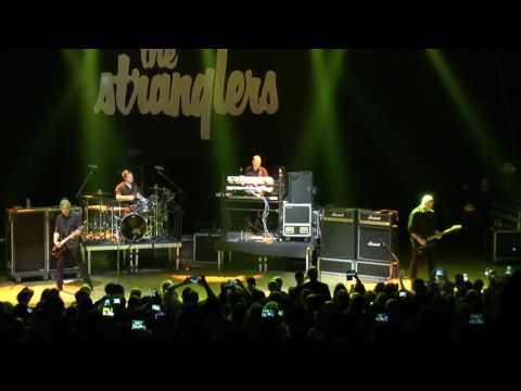 The Stranglers in Tel Aviv 2016 - Golden Brown