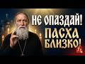 Пасха 2026: Предупреждение от батюшки 🕯️