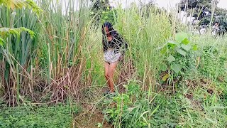 TIK TUK LUCU VIRAL VIDEO