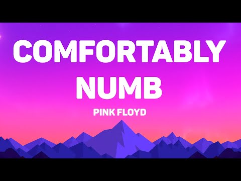 Pink Floyd Comfortably Numb Lyrics