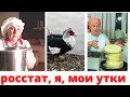 здесь ТЕПЕРЬ 40% таких ! ГОЛЫХ, но СЫТЫХ! Мои Утки, опрос Росстата