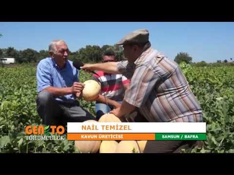Video: Kavun Tohumlarını Atmalı Mısınız?