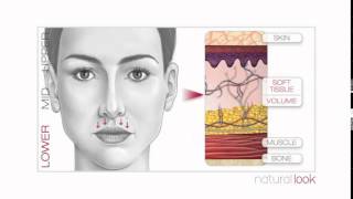 What happens to our face as we age