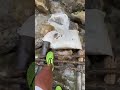 نهارولا في الاحلام جمال رباني