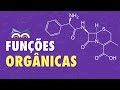 Quiz sobre Química Orgânica