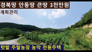 낙찰.경북땅 안동땅 계획관리 3천만원 서울 2시간30분 도로포함 전기포함 나만의 텃밭 과일 채소 주말농장 힐링 농막 휴식 전원주택 편안한 전원생활 귀농귀촌 펜션 캠핑장 경매땅공매땅