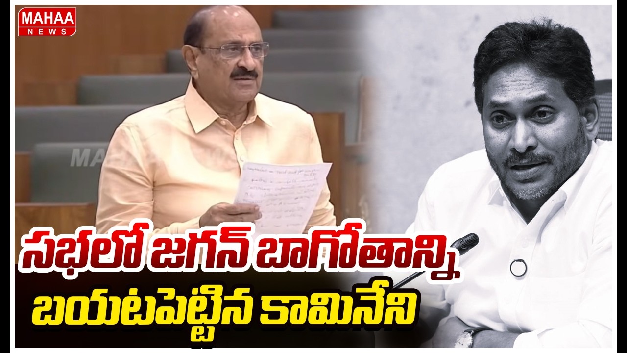సభలో జగన్ బాగోతాన్ని బయటపెట్టిన కామినేని | Kamineni Srinivasu on YS Jagan | Mahaa News