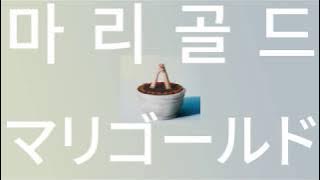 구름같은 다정함으로 안아줄게🌼: 아이묭 - 마리골드(marigold) [가사/발음/해석]