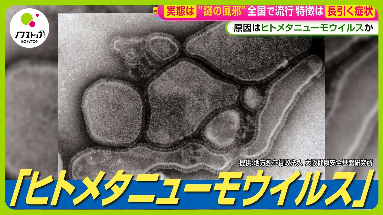 ヒト メタ ニューモ ウイルス 大人