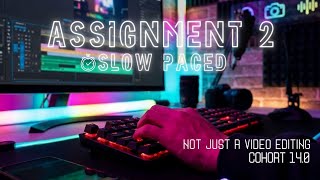 Assignment 2( Slow Pace) | Not Just a video editing Cohort 14.0