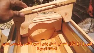 التطريد الاجباري للنحل 1 طريقة تقسيم النحل باحتراف Honey bees, how to divide bees professionally