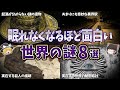 【総集編】眠れなくなるほど面白い世界の謎８選【ゆっくり解説】