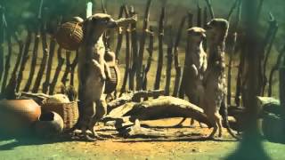 Compare The Meerkat Bye Bye Baby Oleg