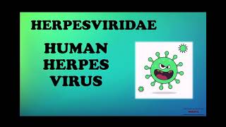 HERPESVIRIDAE. Herpes Simplex 1 & Herpes Simplex 2. Pathogenesis. Transmission. Diagnosis. Treatment