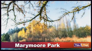 Spending some time at Marymoore Park