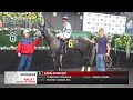 Woodbine, Tbred, September 17, 2026 Race 7 | Woodbine Horse Race Replay