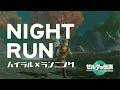 ハイラルランニング Night Running in Hyrule アッカレ平原を夜に駆け抜ける