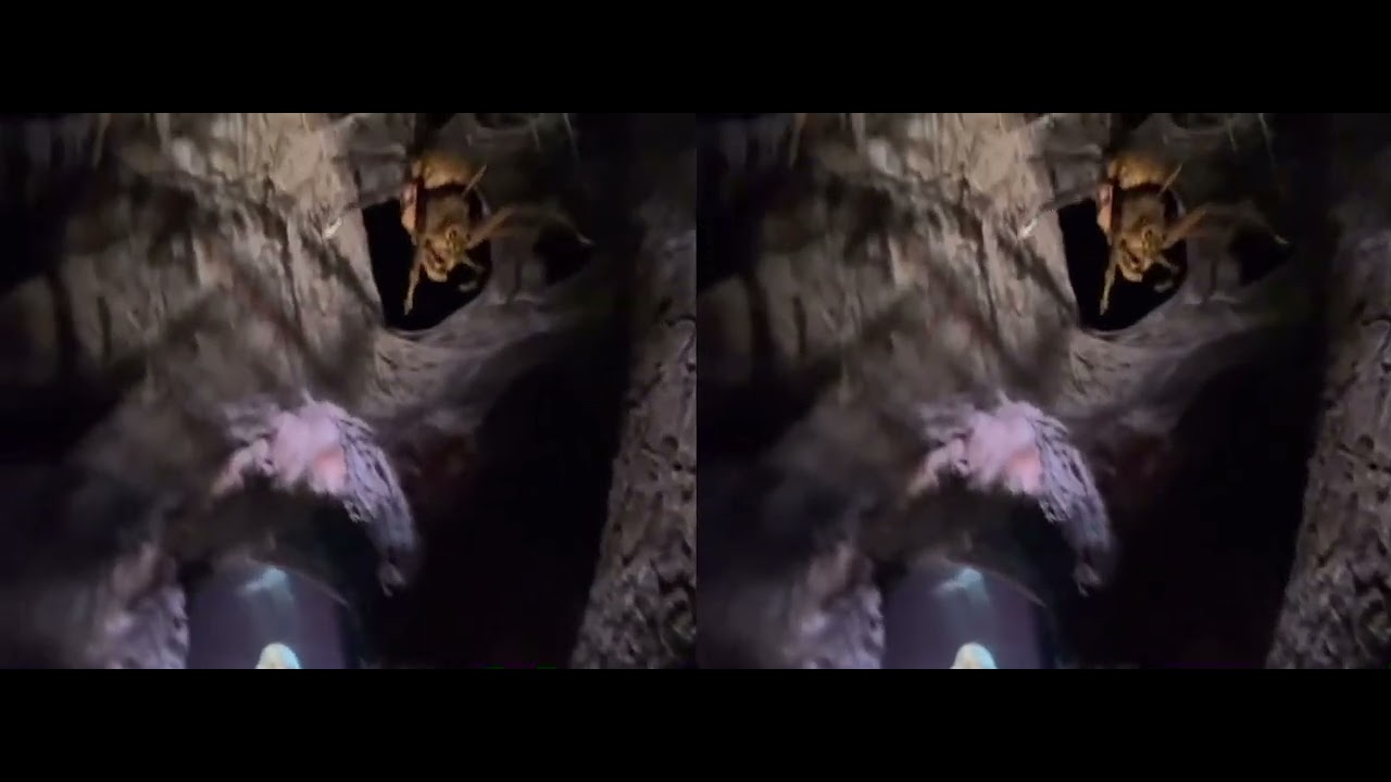 [VRゴーグル専用]USJハリーポッターライド