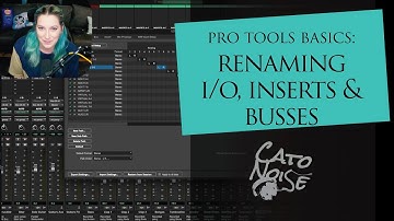 Pro Tools Basics: How to rename your Inputs/Outputs, Busses, and Inserts