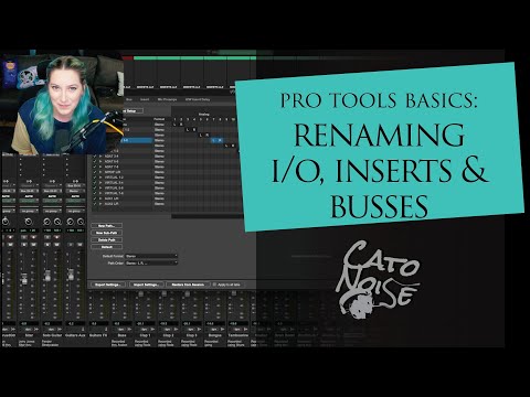 Pro Tools Basics: How to rename your Inputs/Outputs, Busses, and Inserts