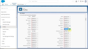 Salesforce Lightning 201-1c: Modifying a Profile