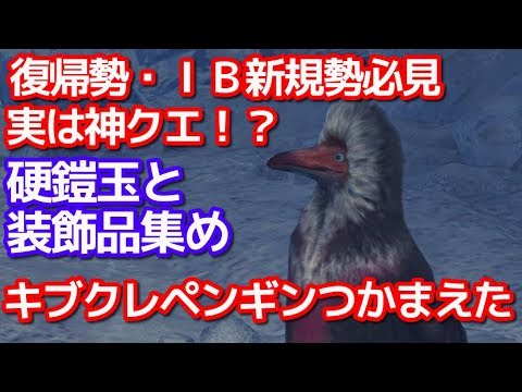 隠れた神クエ　キブクレペンギンつかまえた！装飾品と硬鎧玉集め！３０秒で周回可能　復帰・新規勢にオススメ　ＭＨＷＩＢモンハンワールドアイスボーン