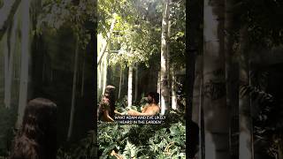 Sounds in the Garden of Eden @creationmuseum