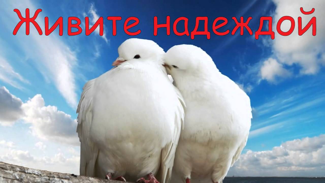 Картинки открытки к свадьбе 39 лет Картинки открытки к свадьбе 39 лет